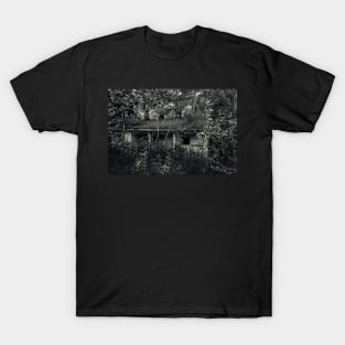 Abandoned House near Baddeck, Cape Breton T-Shirt